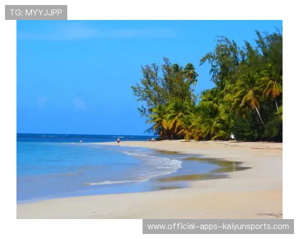 多米尼加特色水上运动旅游热度升高,多米尼加海滩